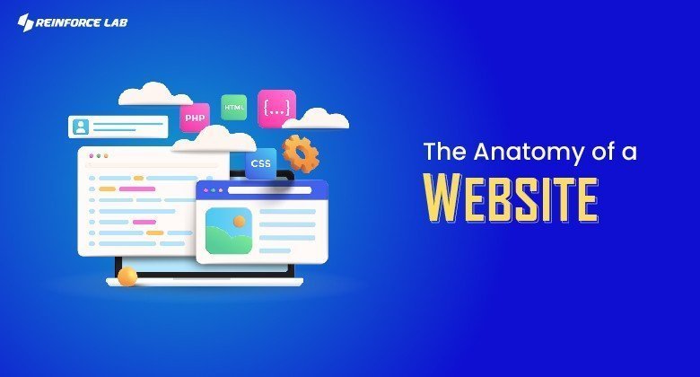 The anatomy of a website