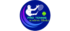 Pro Tennis Academy - A Client of Reinforce Lab